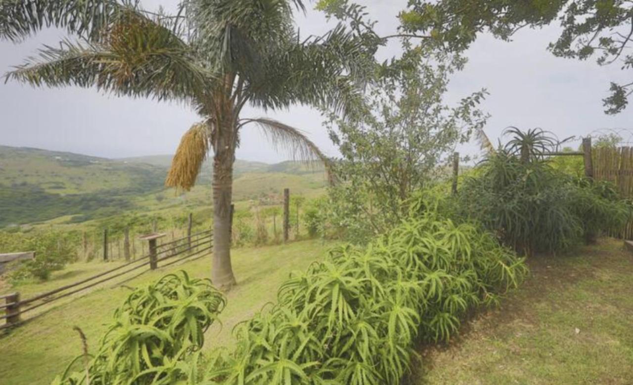 Raptors View Coffee Bay Exterior foto